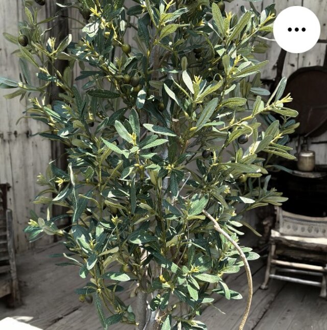 光触媒 人工観葉植物 ウォールグリーン フェイクグリーン オリーブtja