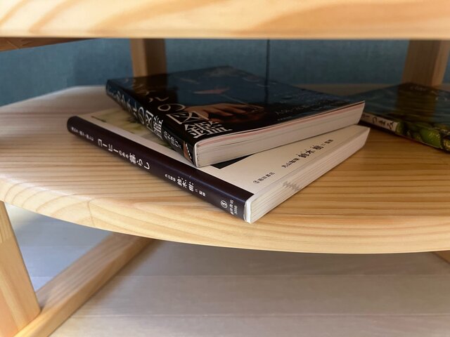 送料無料】 ローテーブル 扇形 90cm 45cm 35cm パイン ナチュラル