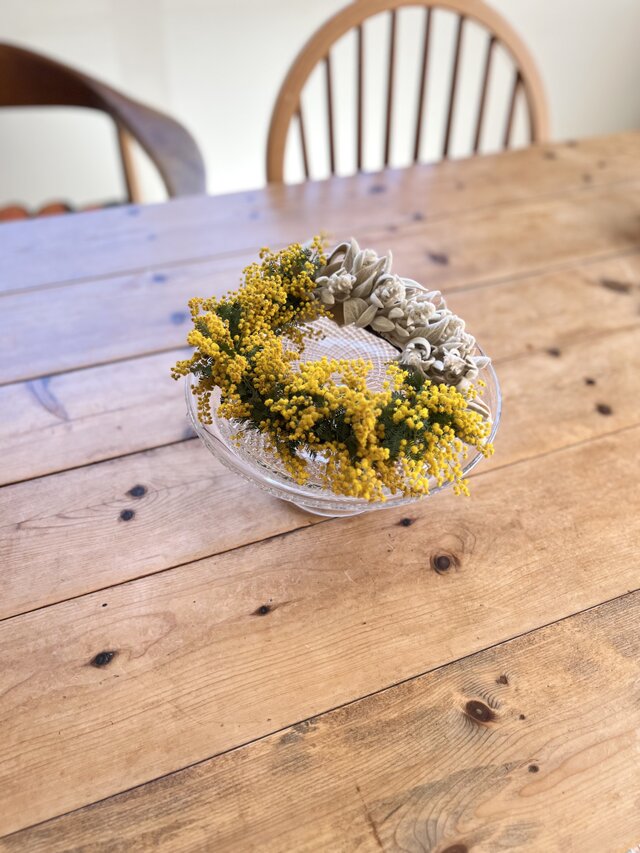 ミモザとラムズイヤー | iichi 日々の暮らしを心地よくする