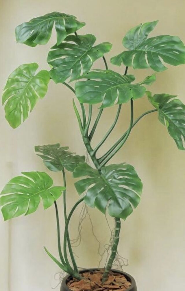 光触媒 人工観葉植物 ウォールグリーン フェイクグリーン モンステラ