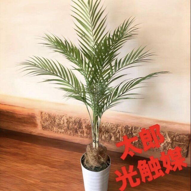 光触媒 人工観葉植物 ウォールグリーン フェイクグリーン アレカヤシ白