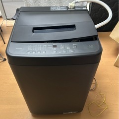 2024製】アイリスオーヤマ 縦型洗濯機 TNI-45A1-B