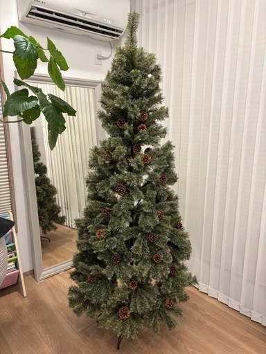 2024年度Alsace アルザス クリスマスツリー 180 cm (やま) センター南