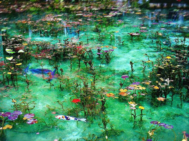 モネの池 岐阜県】アクセス・営業時間・料金情報 - じゃらんnet