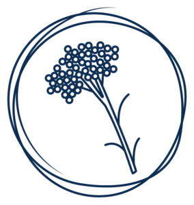 トゥルーリニュー デイリー ファーミングクリーム | LifeVantage 日本 (ja)