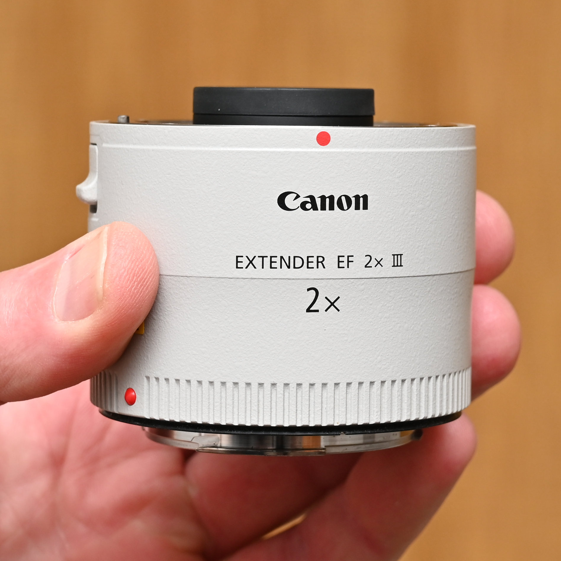 Canon Extender RF 2x review: double your telephoto reach and close