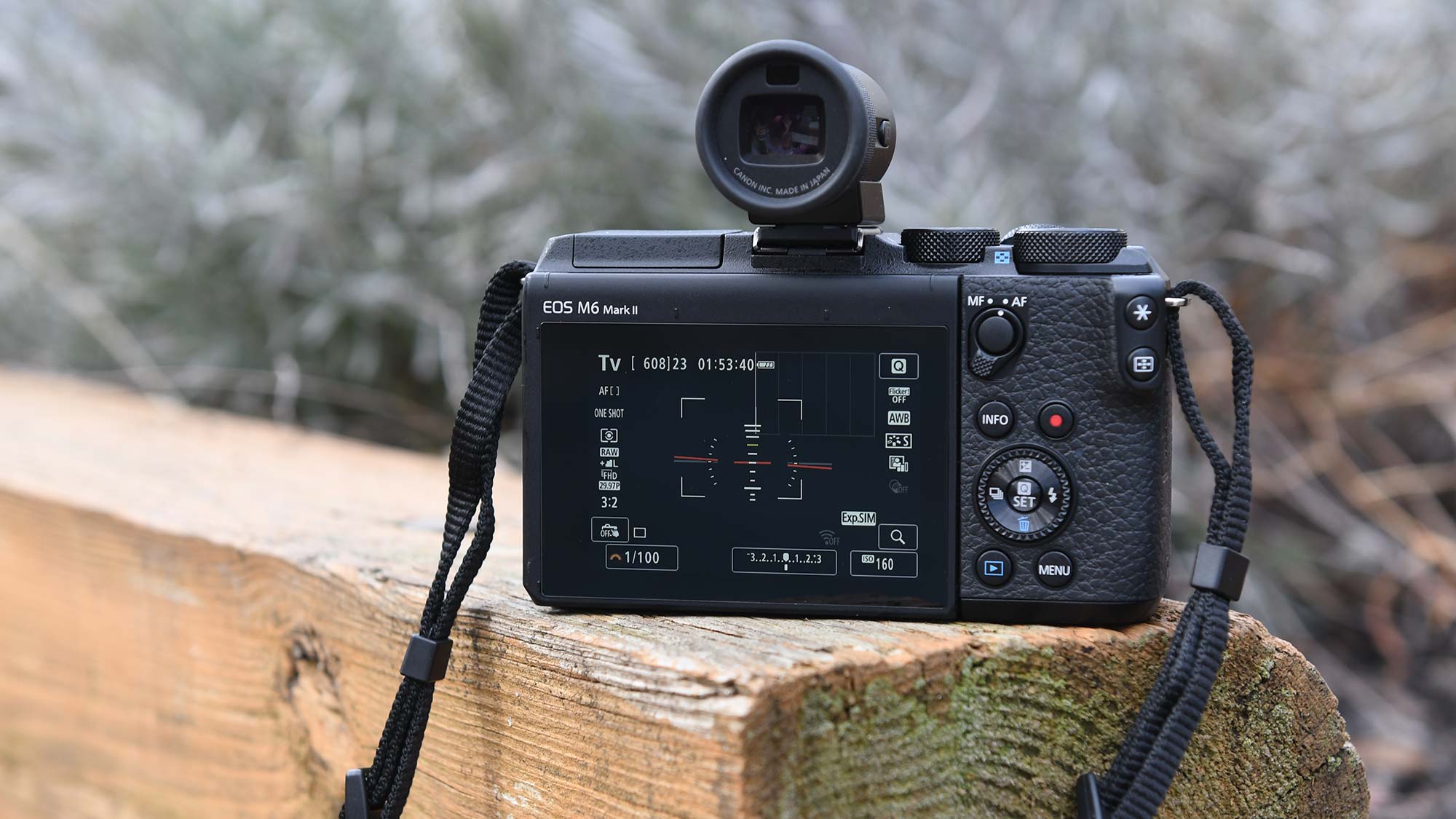 Canon EOS M6 Mark II review | Tom's Guide