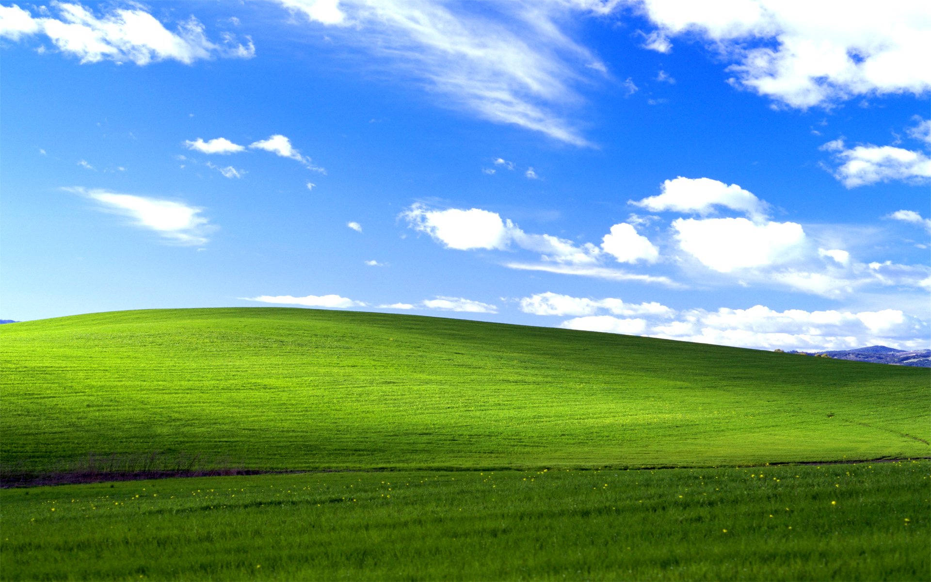 Windows XP remains the dominant OS — at least in one part of the