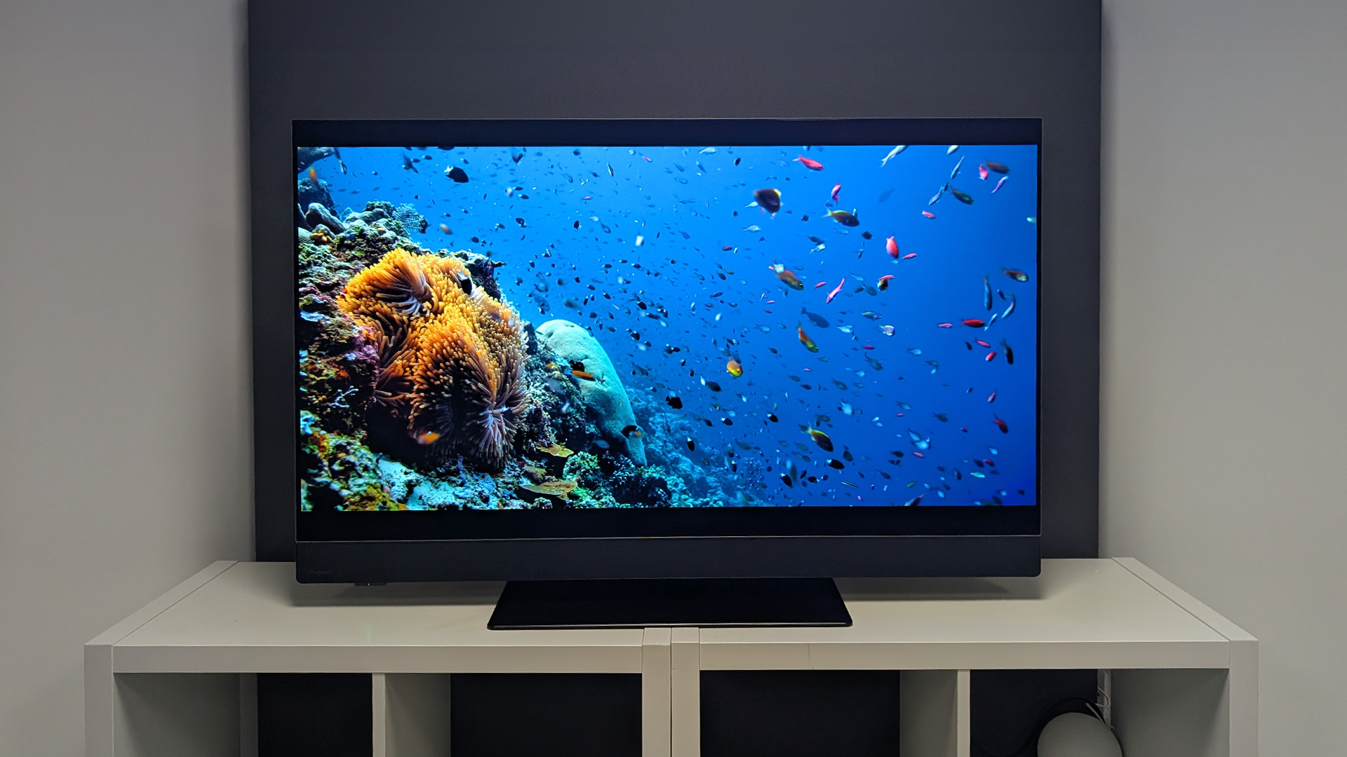 Panasonic Z90B 48-inch review: the best 48-inch OLED TV we have