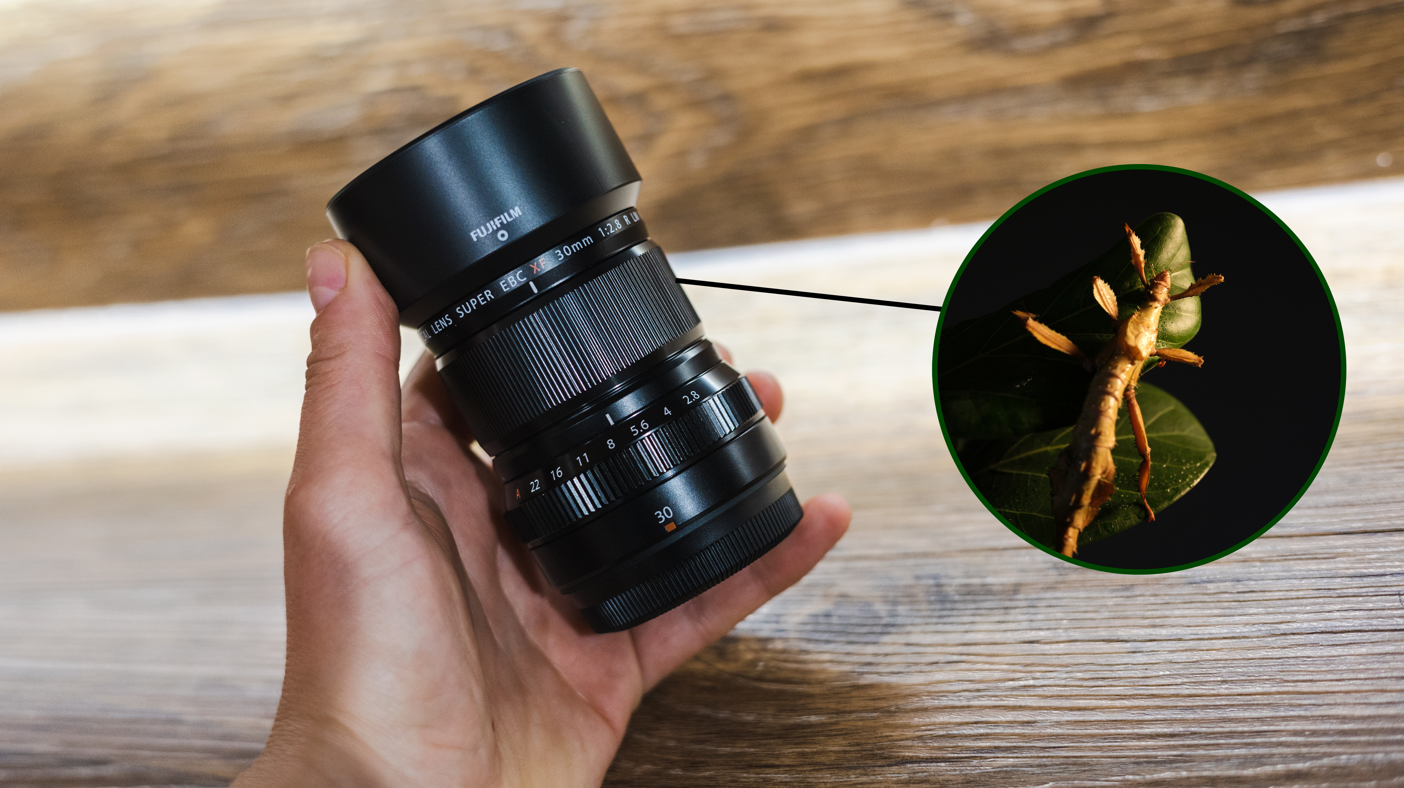Fujifilm XF30mm f/2.8 R LM WR Macro hands-on review | Digital