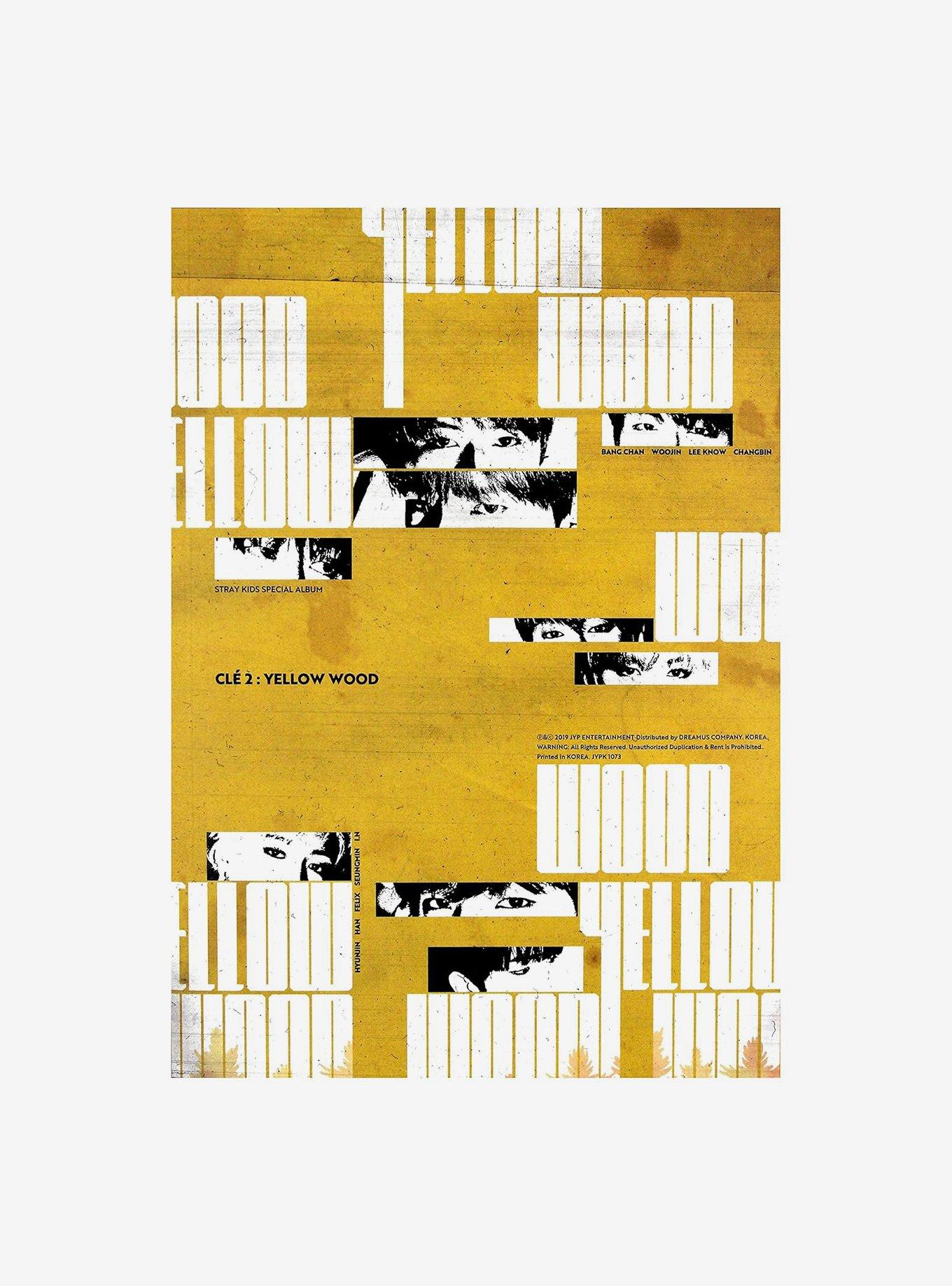Stray Kids Cle 2: Yellow Wood (Special Album) Vinyl LP | Hot Topic