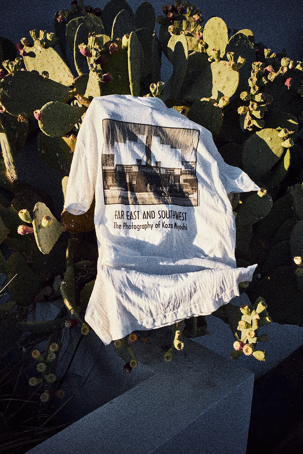 weberと三好耕三のコラボレーションTシャツ