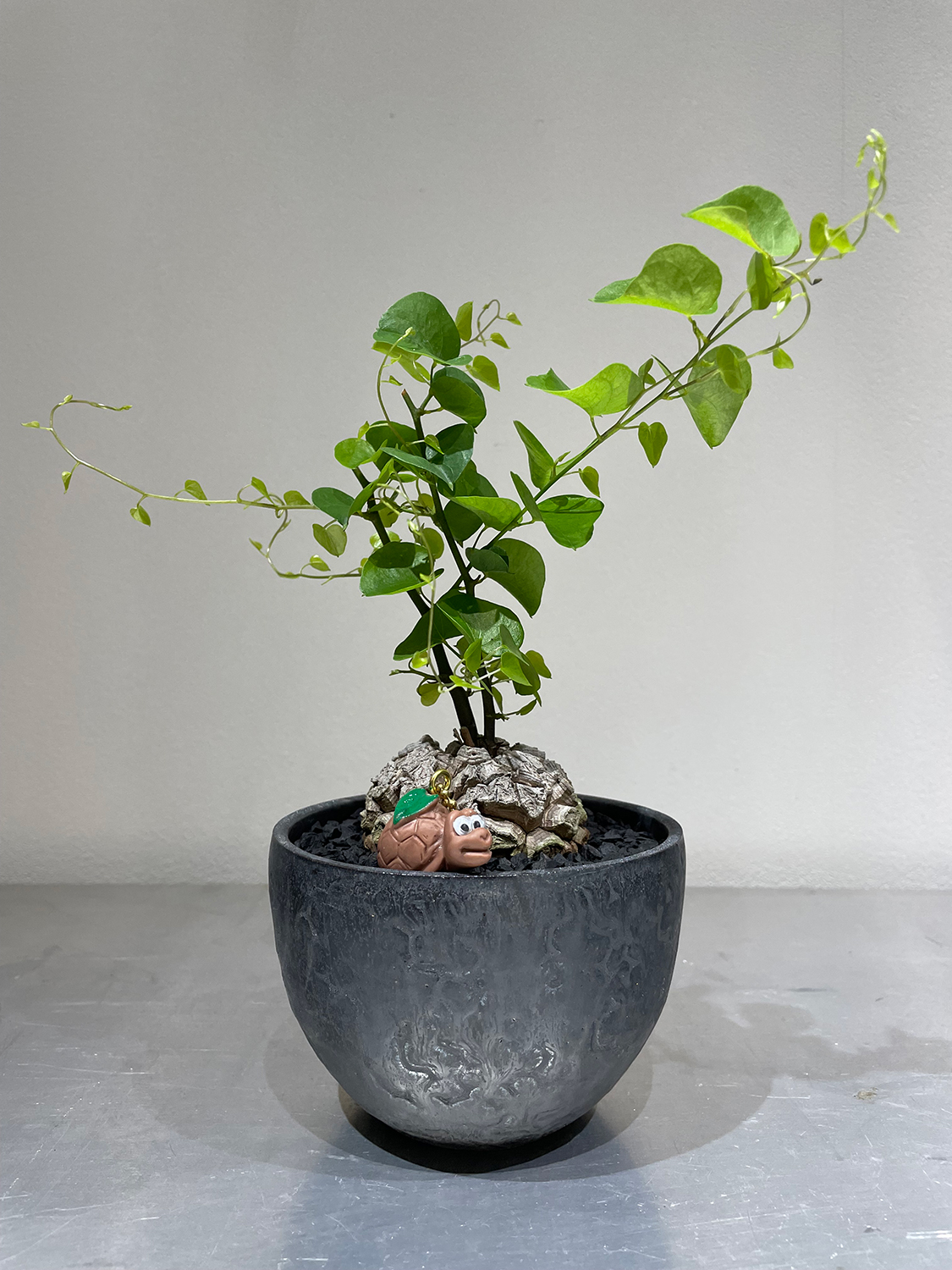 F-LAGSTUF-Fと鶴仙園による新作コラボレーションアイテム