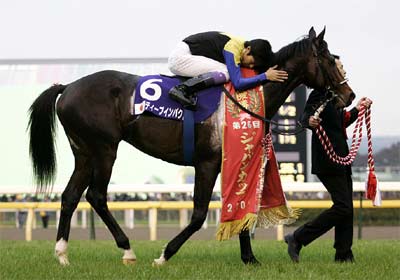 ディープインパクト、有馬記念当日に引退式 | 競馬ニュース - netkeiba