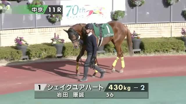 シェイクユアハート (Shake Your Heart) | 競走馬データ - netkeiba