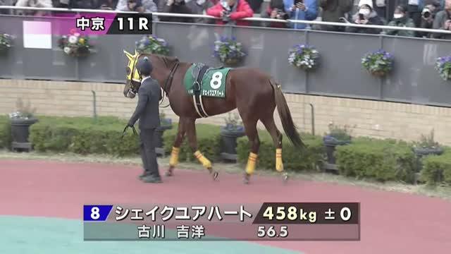 シェイクユアハートのパドック映像 | 競走馬データ - netkeiba