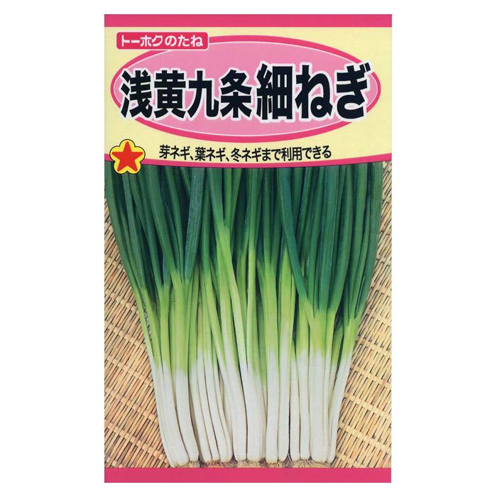 トーホク ネギ 汐止めねぎの通販｜ネギ・ニラ｜野菜の種｜フラワー