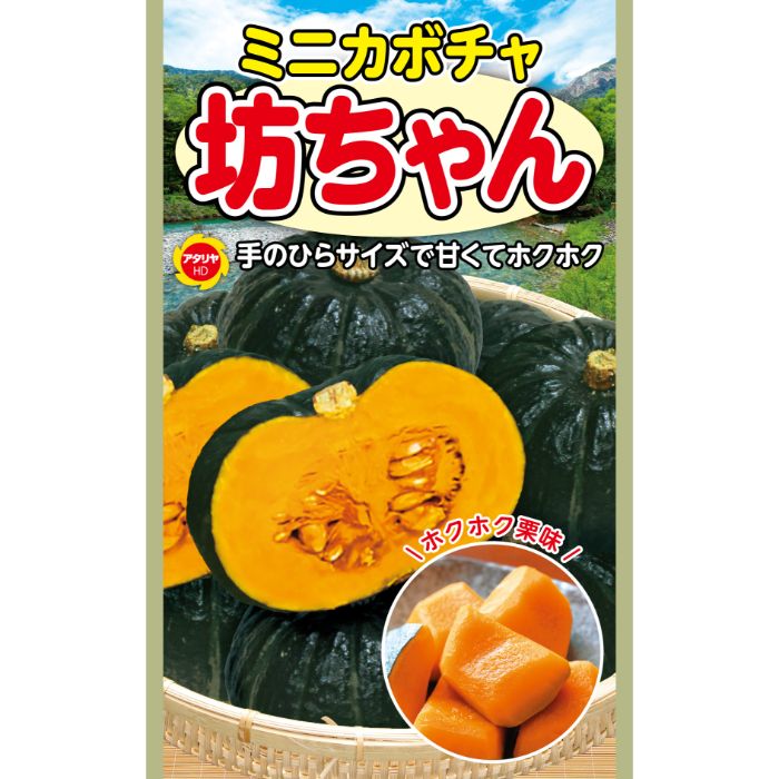 アタリヤ農園 かぼちゃ 坊ちゃんの通販｜カボチャ・ズッキーニ｜野菜の