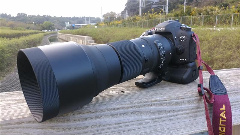 SIGMA 150-600mm F5-6.3 DG OS HSM | Contemporary のパーツレビュー
