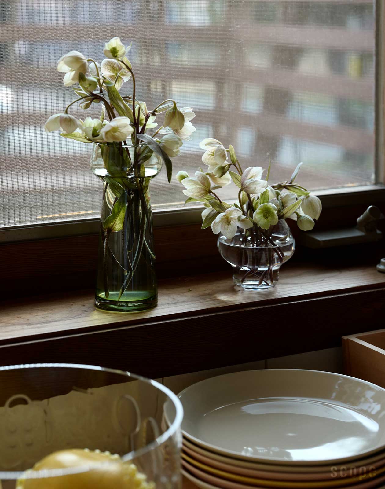 販売終了】Celebrate | Holmegaard (ホルムガード)