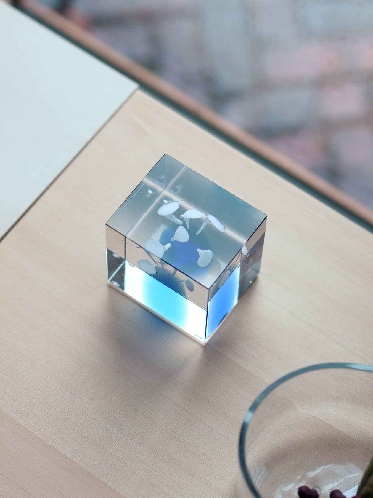 Annual cube | iittala