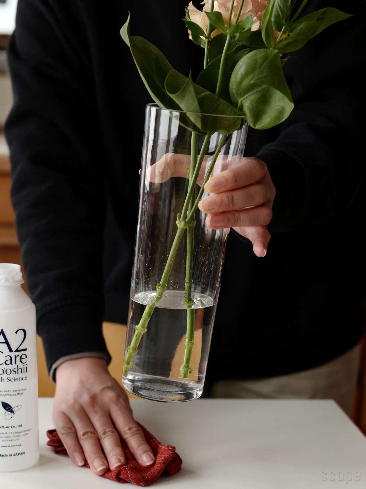 長い花を数本生けるだけで絵になる｜Bellman ベース250mm｜SCOPE