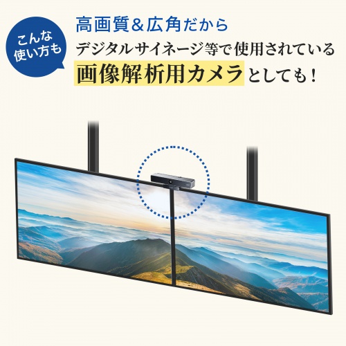 CMS-V52S【ワイドレンズWEBカメラ（画角 水平90° 対角98°・4K・850万