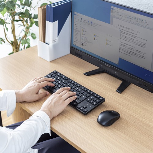 SKB-WL38SETBK【ワイヤレス静音キーボードマウスセット（テンキーなし