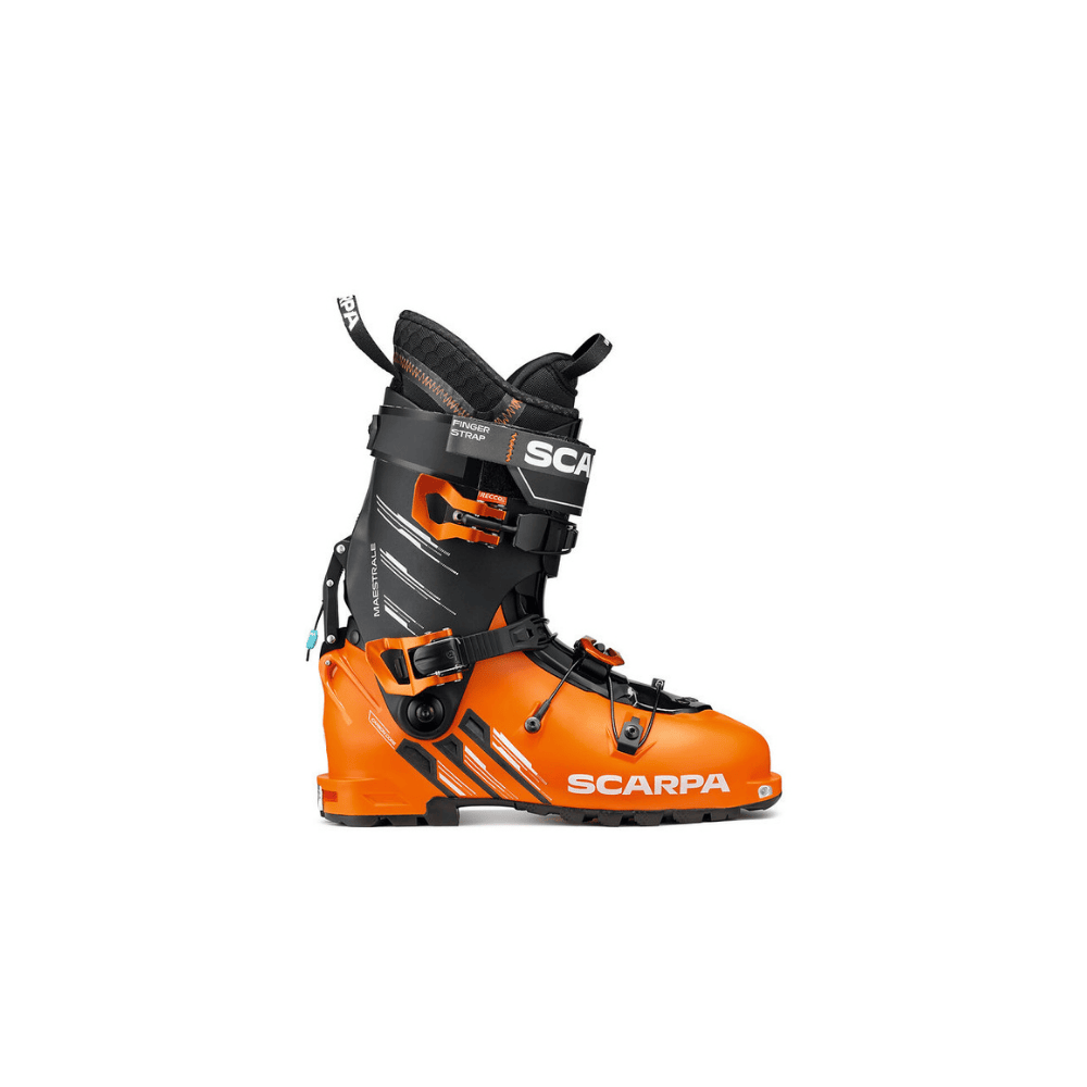 Scarpa Maestrale 2026 - The Boot Pro Ski & Bike Shop