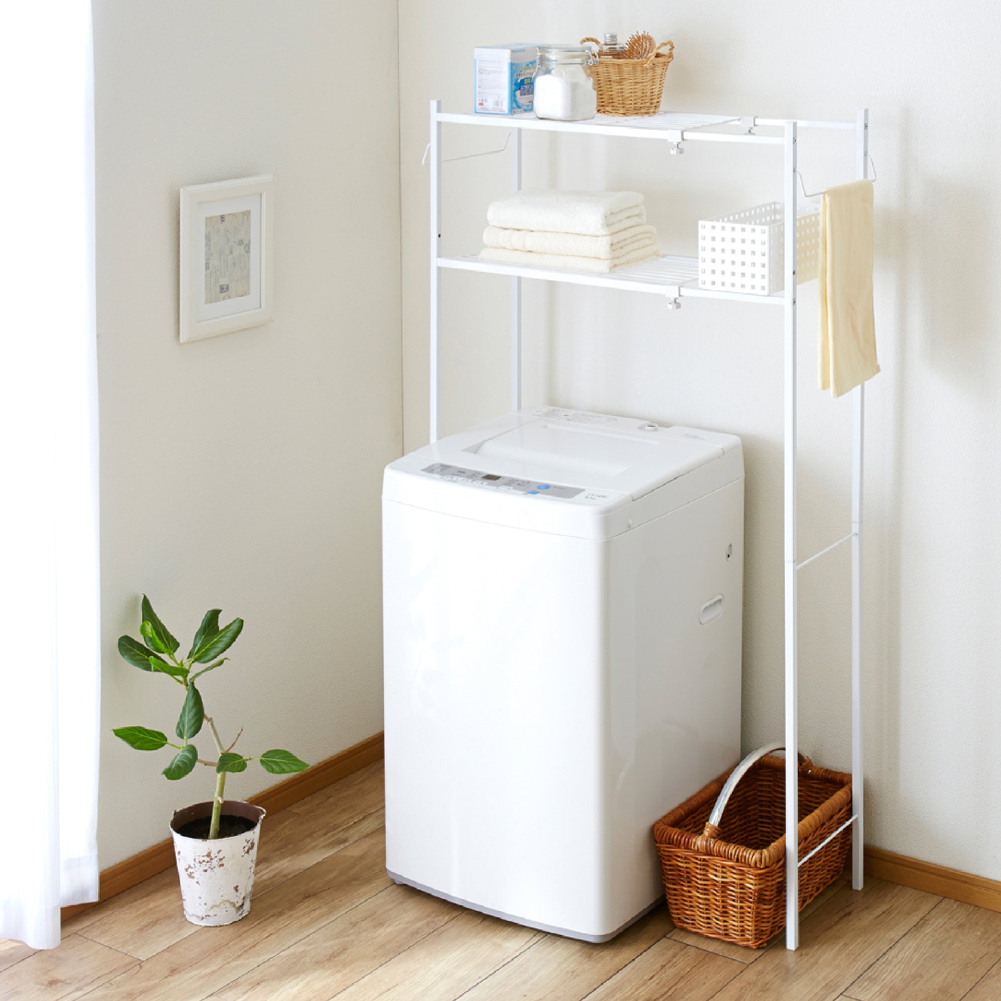 tlr-2_s1.jpg?v=1761537391