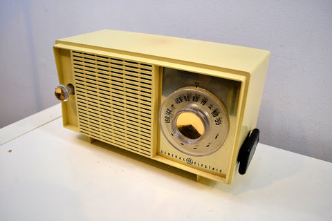 ビンテージ AM ラジオに FM を追加する – Retro Radio Farm