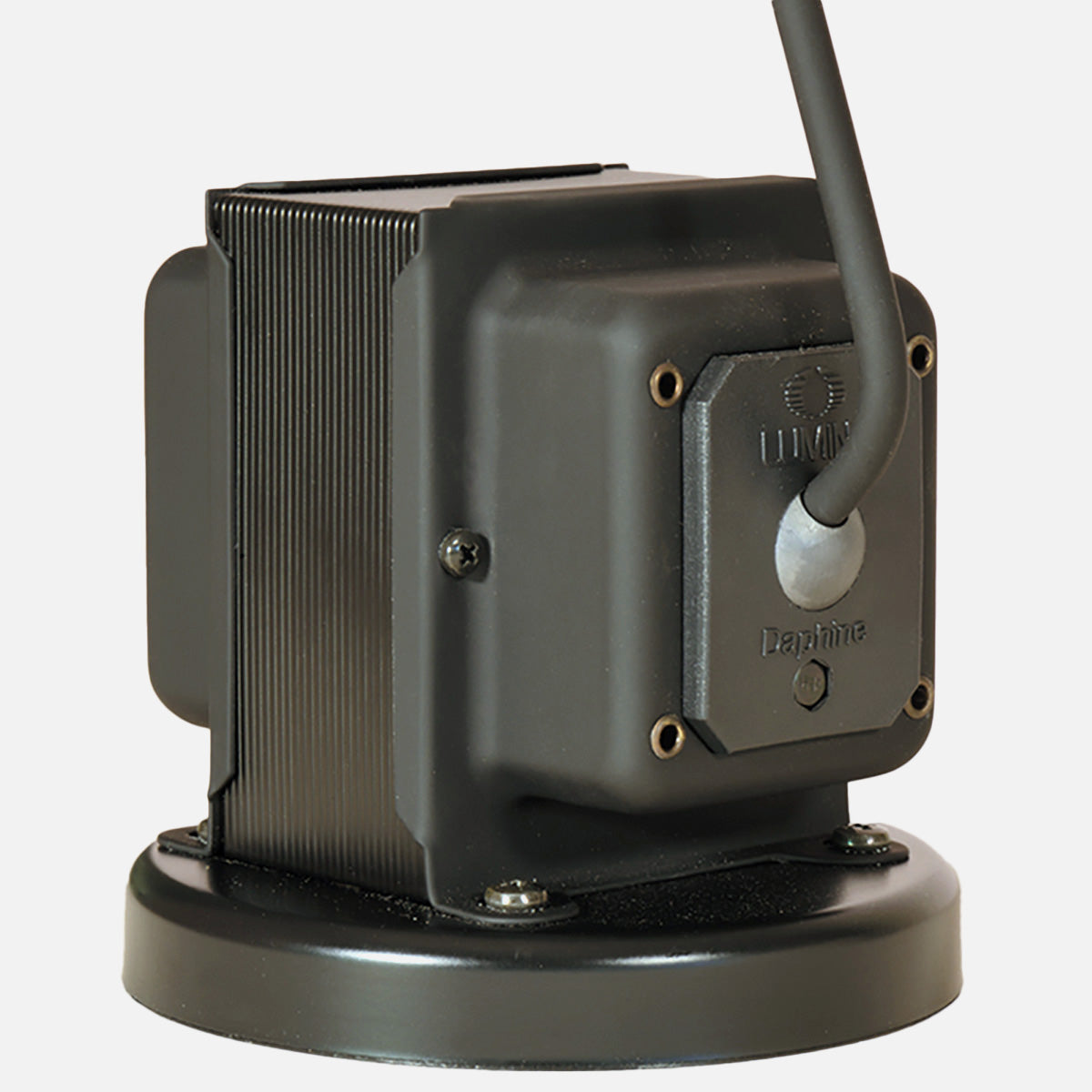 Lumina Daphine LED Floor Nickel ルミナ ダフィーネ LED フロア