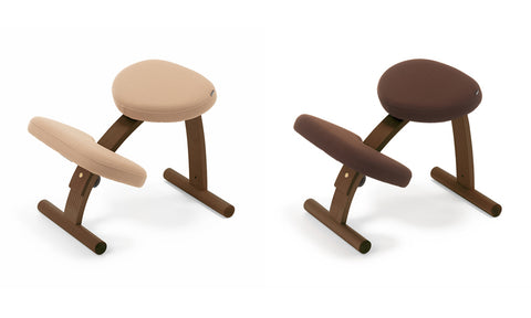 バランス イージーのフレームに「ウォールナット」が登場 – バランス