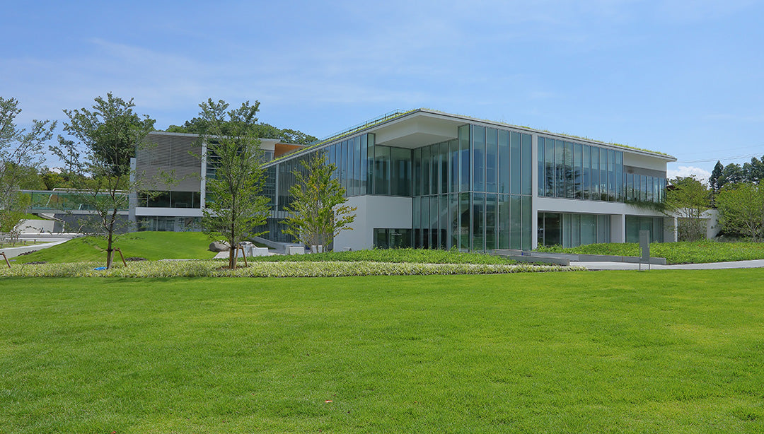 Nagano Prefectural Art Museum Unveils Miwa Komatsu's 'Keep