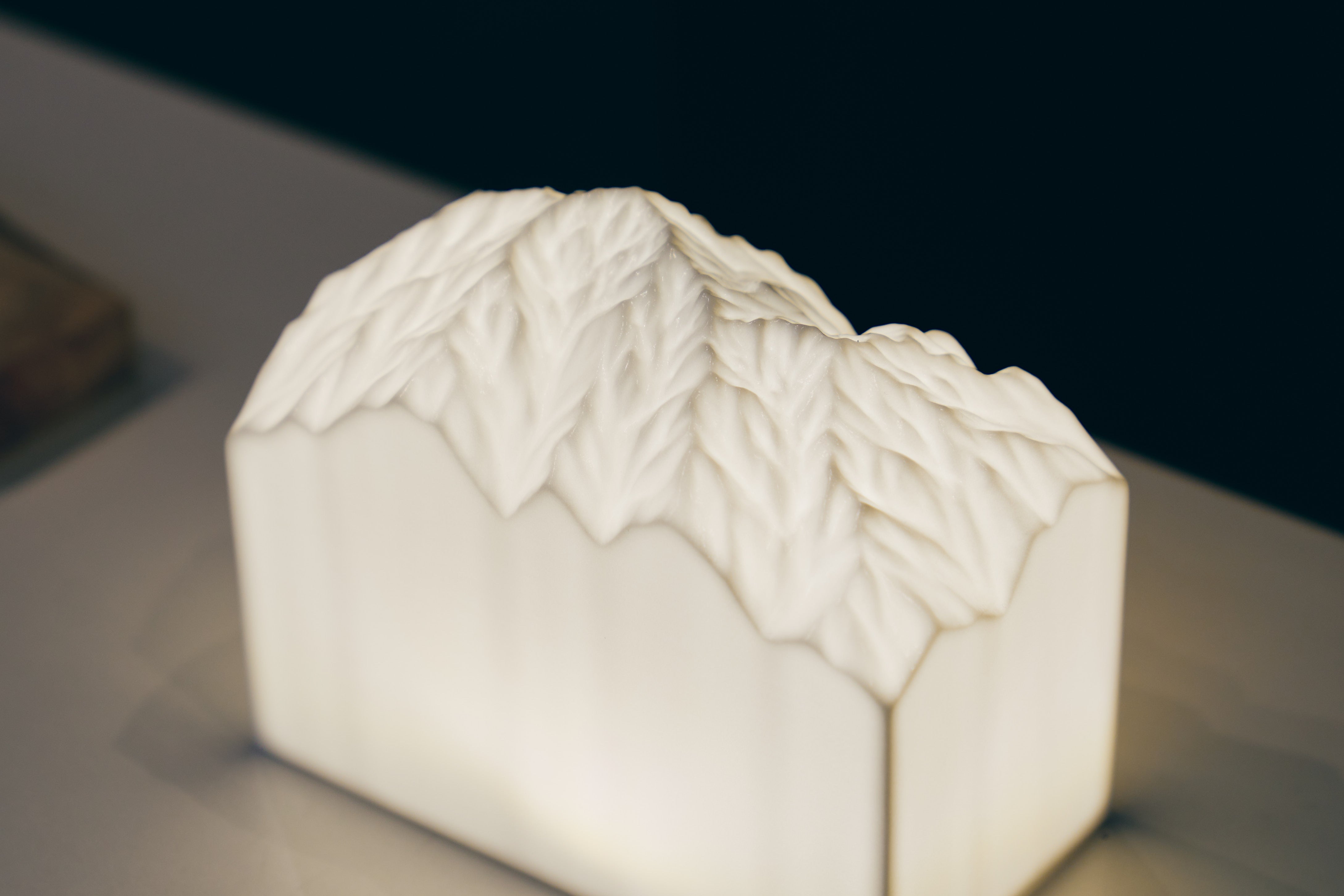 Interview】ikkaku mosaic 井出裕太 | WAGON | For our field life