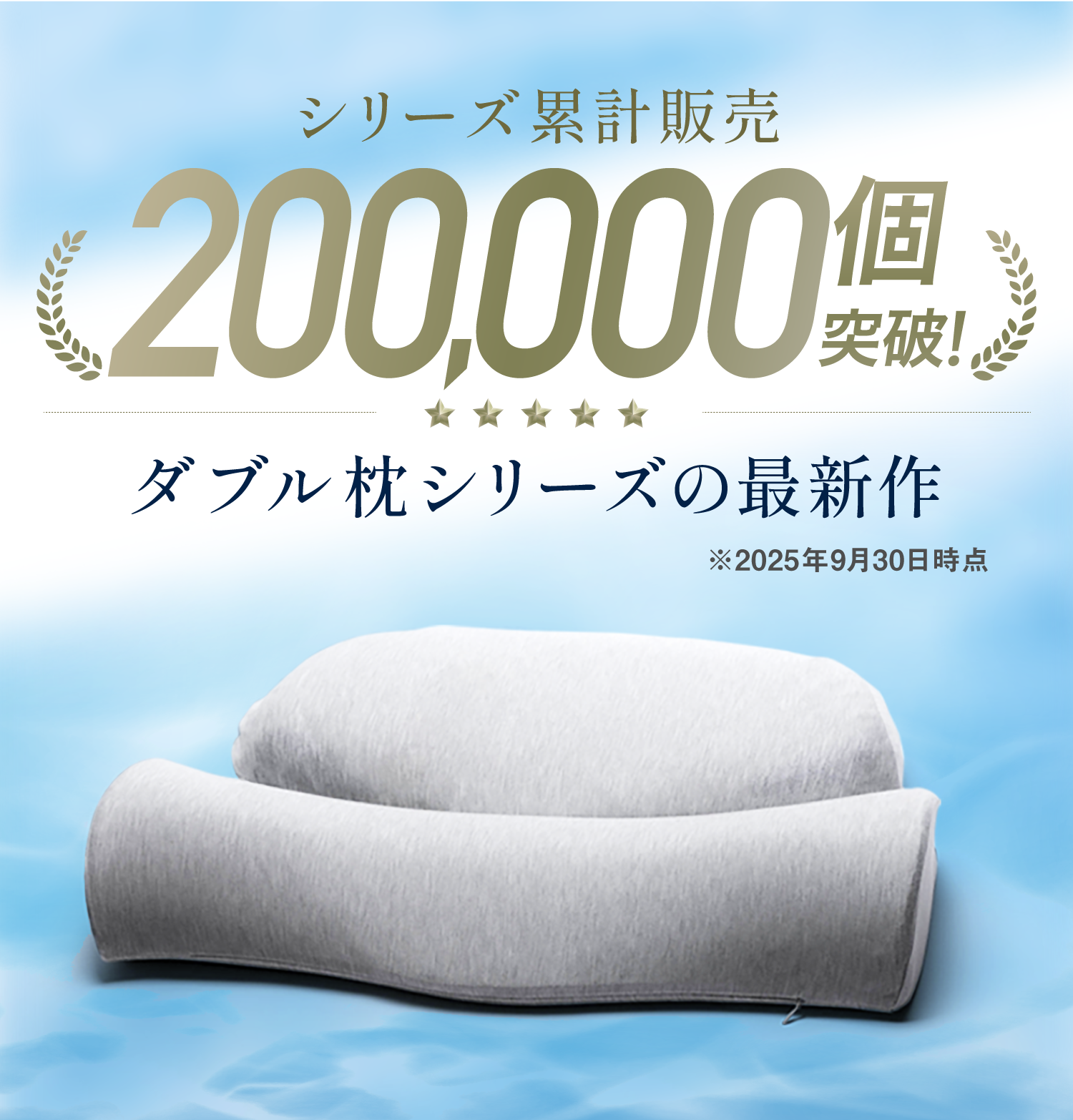 公式】首と肩のことだけを考えたダブル枕PLUS | 高め・低め・柔らかい