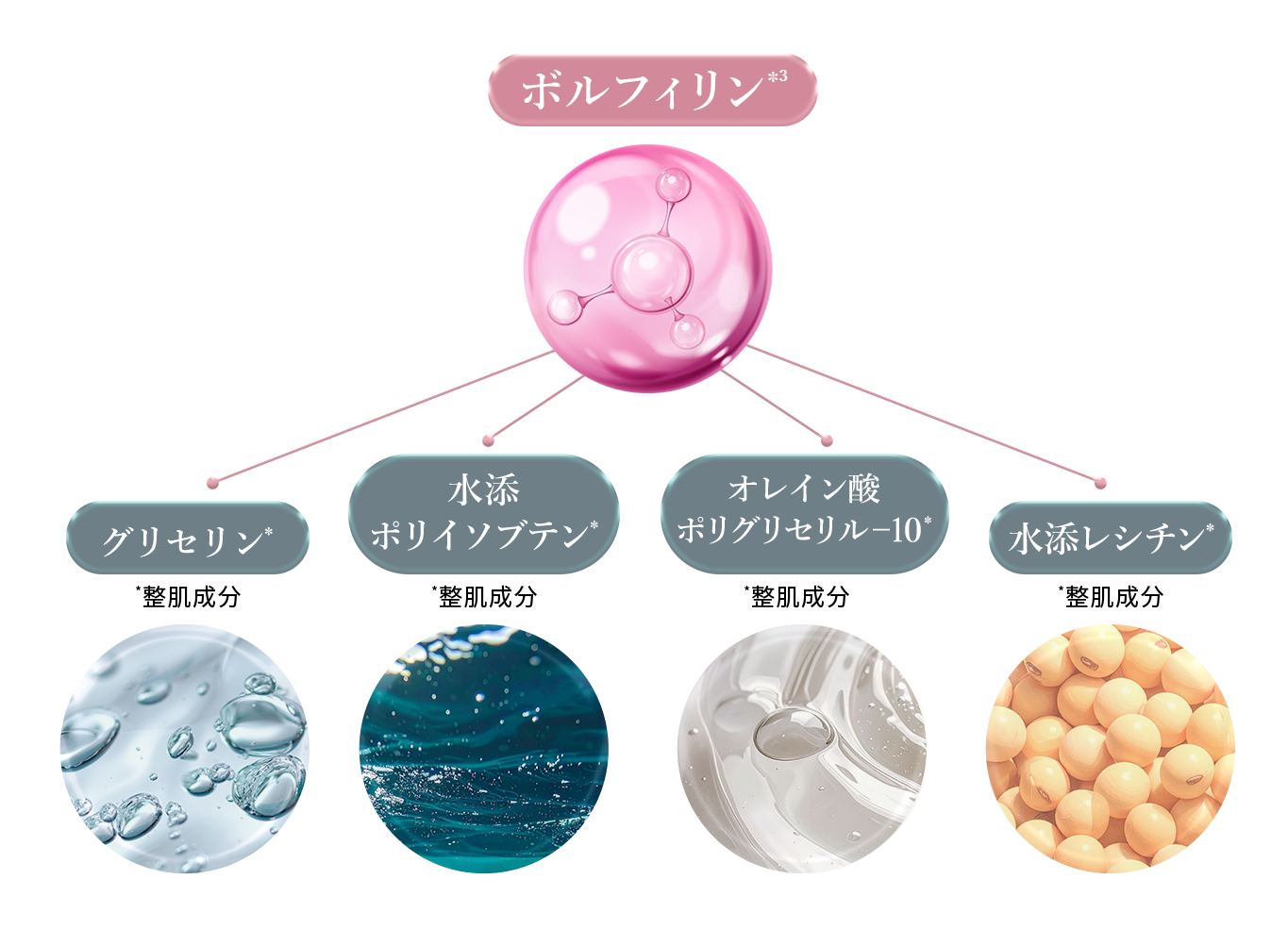 定期便】ANELA BEAUTY PLUMPER SERUM RICH