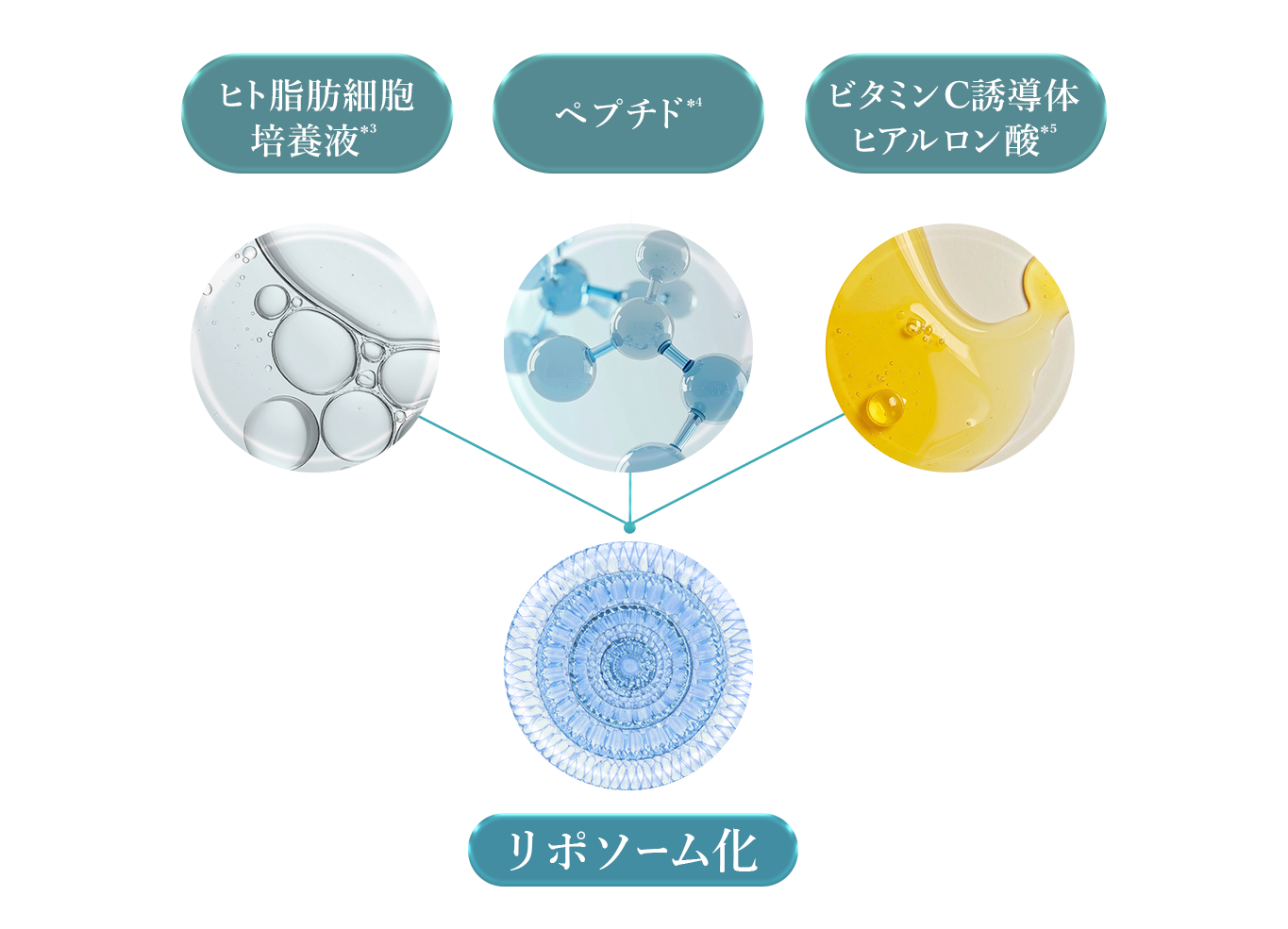 定期便】ANELA BEAUTY PLUMPER SERUM RICH