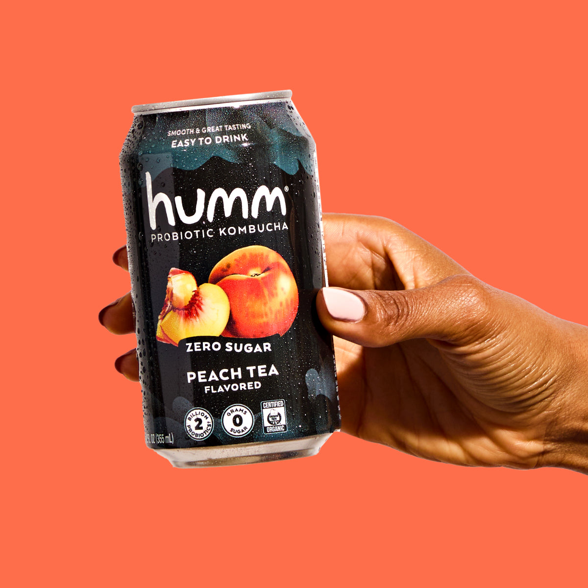 Zero Sugar Raspberry Lemonade Kombucha | Humm Kombucha