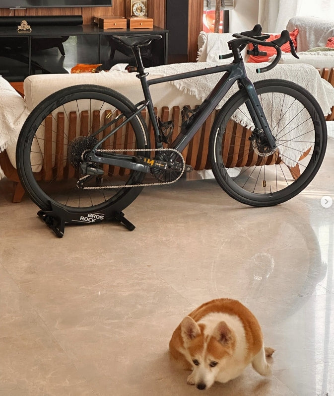 カーボングラベルバイクフレームセット – アドベンチャーサイクリング