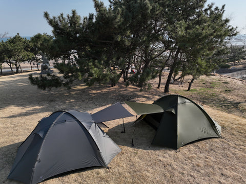 再入荷】THE FREE SPIRITS（ザフリースピリッツ）Stars 3 - hinataストア