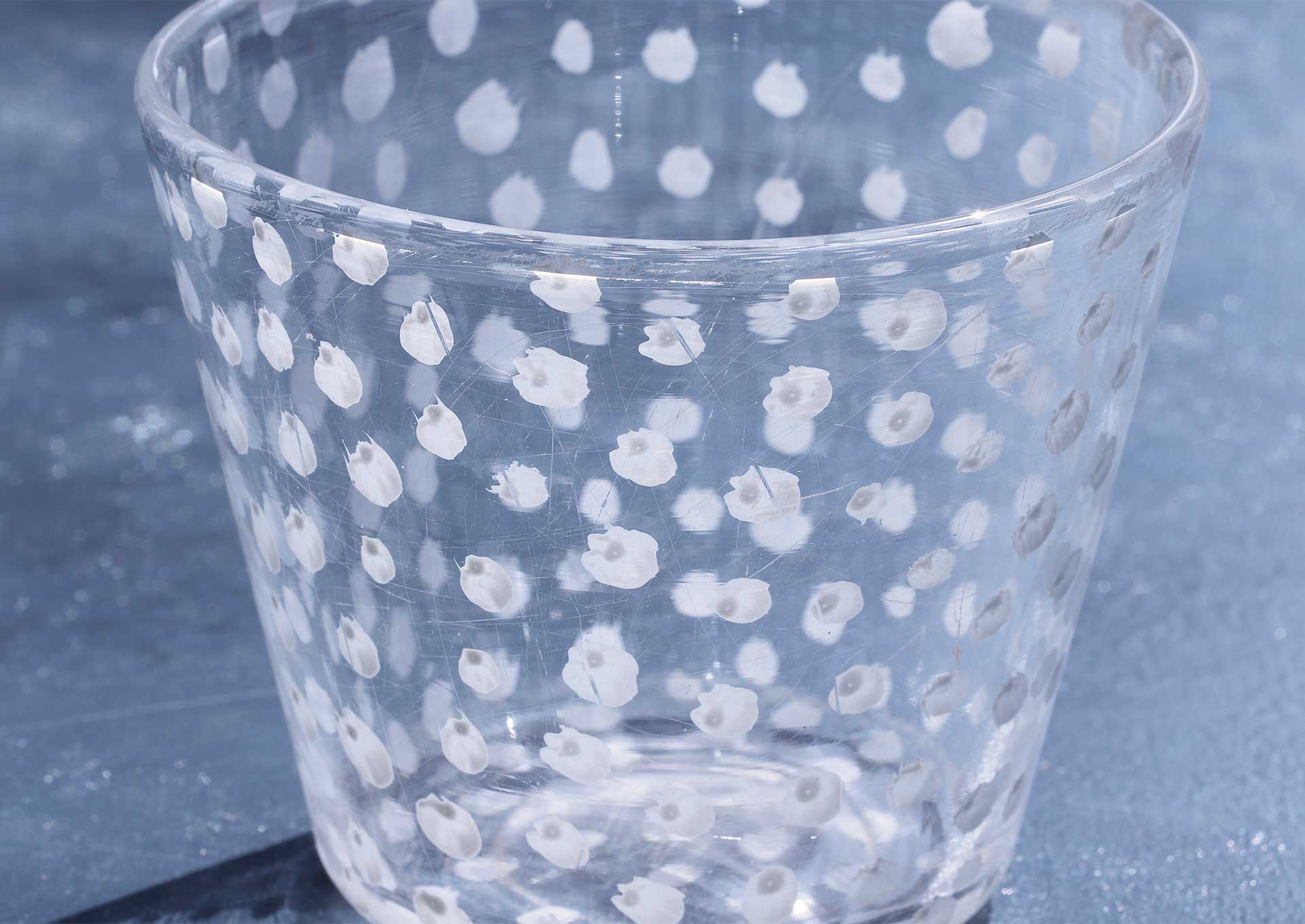 ふむふむ、木村硝子店のなかまたち。 – zizi STORE