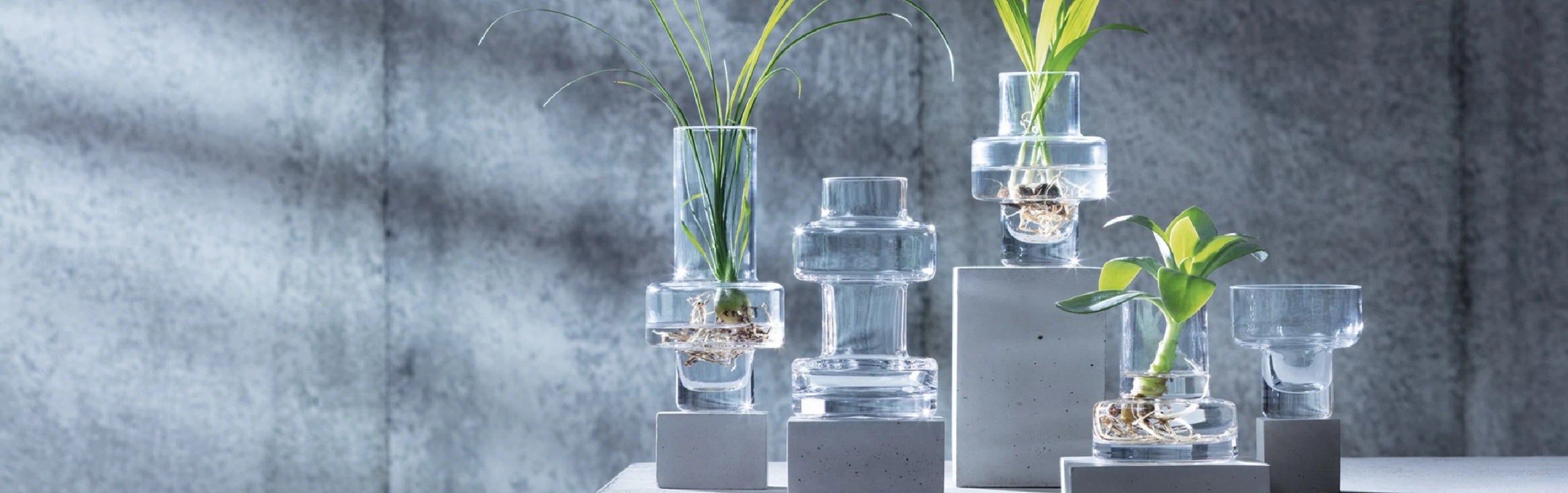 Vase & Pot / フラワーベース & 鉢 – Living Talk Decor