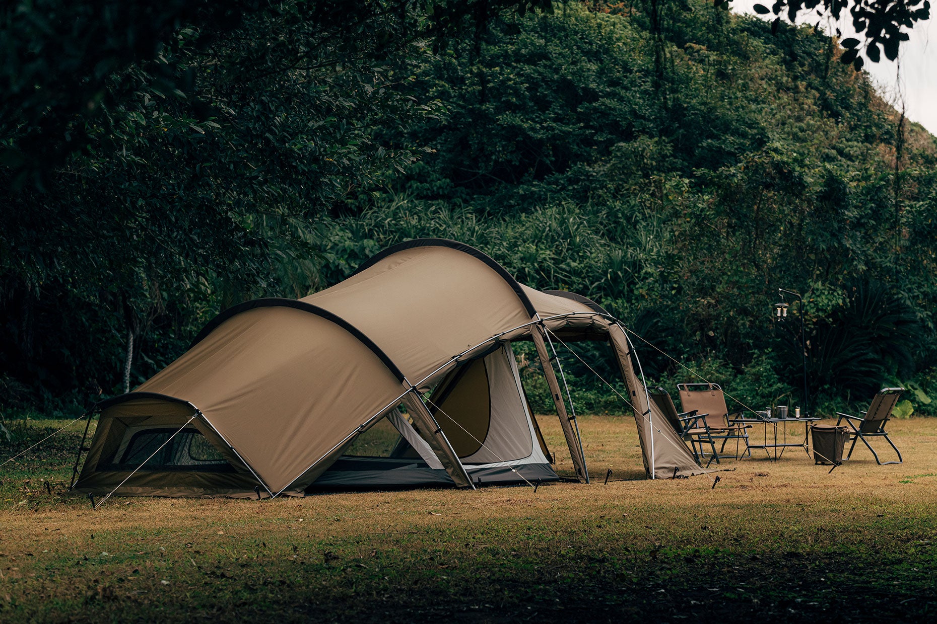 GIMORG | PRODUCTS | ZANE ARTS