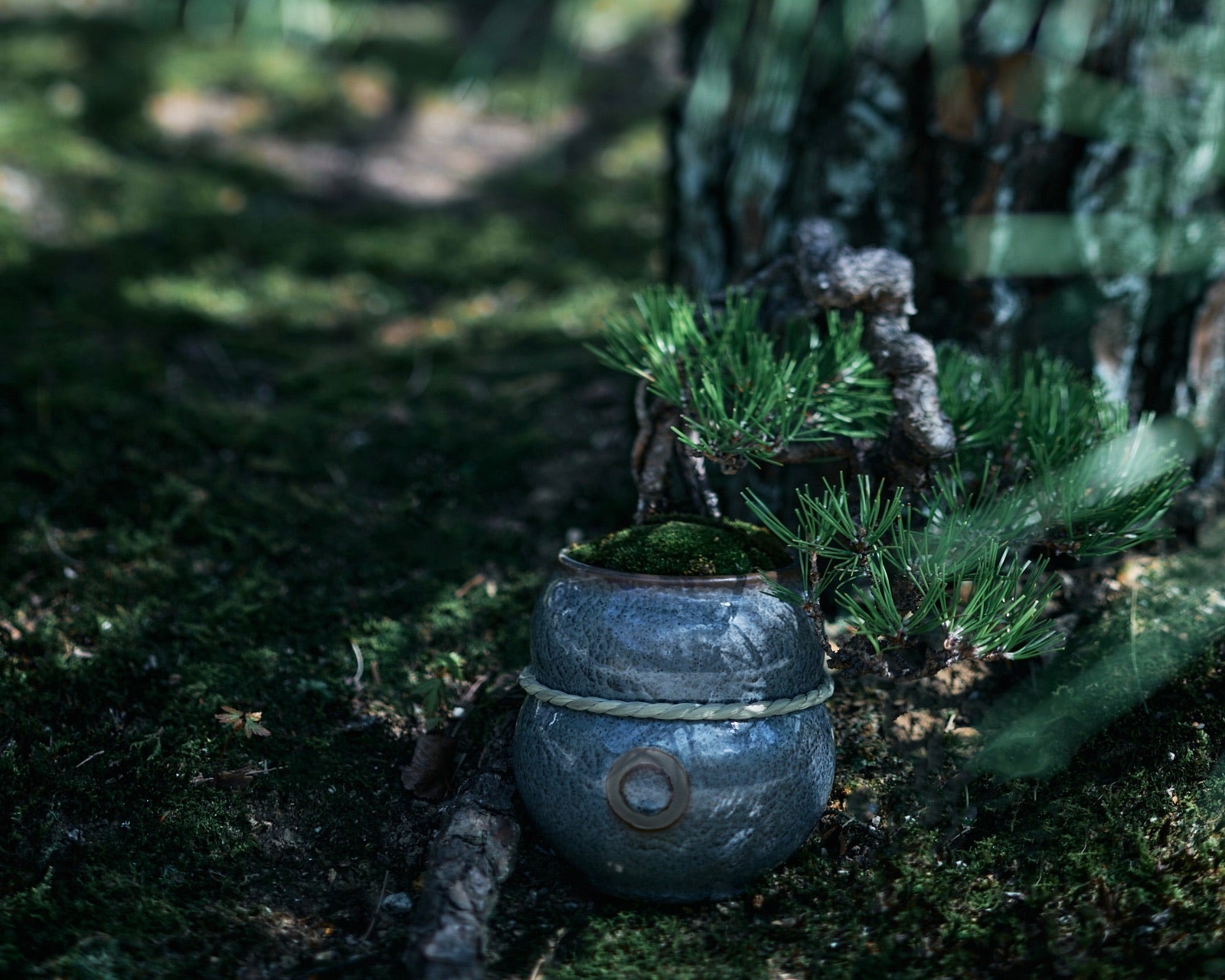 㘴 -SOZORO- 蒼鱗 Sサイズ｜QUTOTEN.