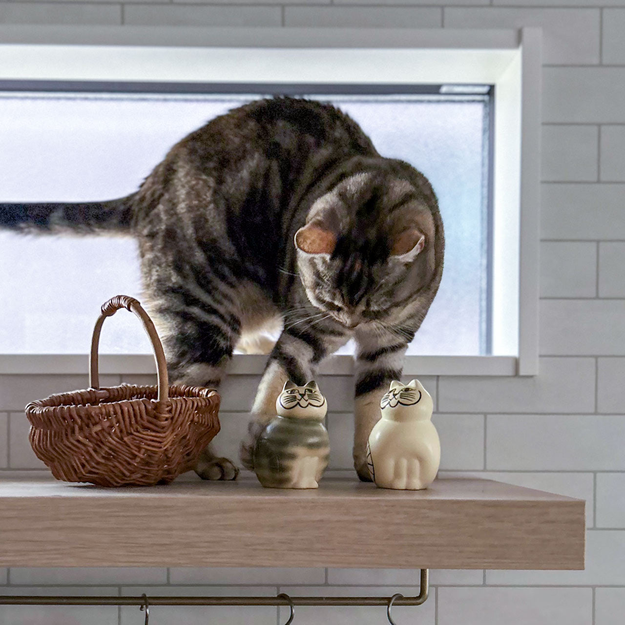 個体が選べる】MIA ミア S グレー / Lisa Larson リサラーソン 正規品