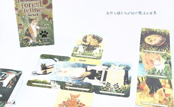 エンチャンテッド・フォレスト・フィーライン・タロット Enchanted