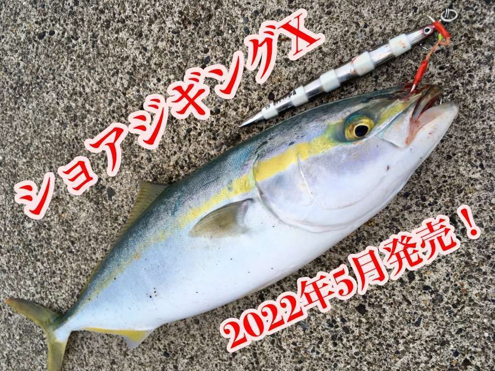 ショアジギングXがダイワから2025年新登場！最強のショアジギ入門機