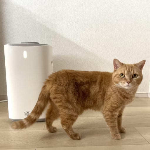 Wの消臭としっかり集毛 PURE PET AIR CLEANER | PURE（ピュア）公式