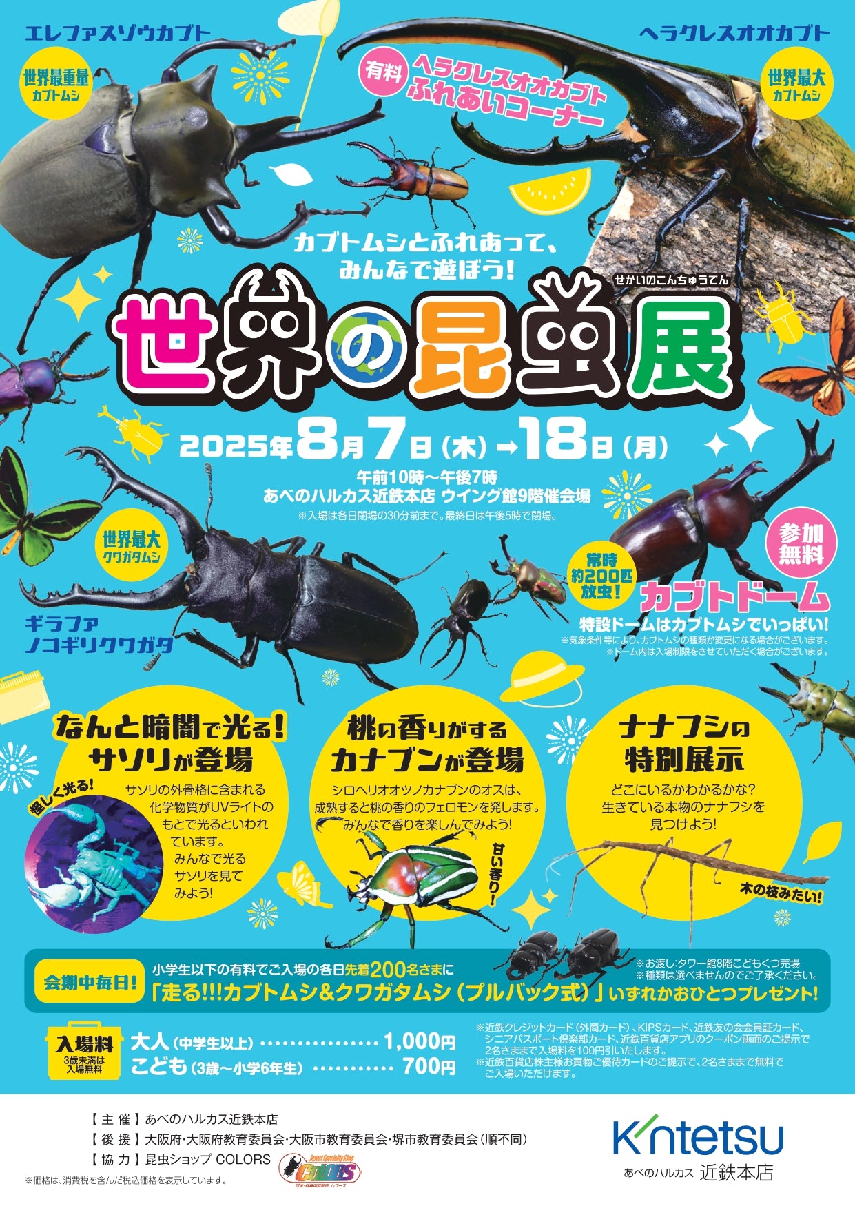 あべのハルカス!世界の昆虫展開催!! – クワガタムシ・カブトムシ昆虫
